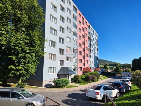 Pronájem bytu 1+1 po rekonstrukci ve Cvikově.